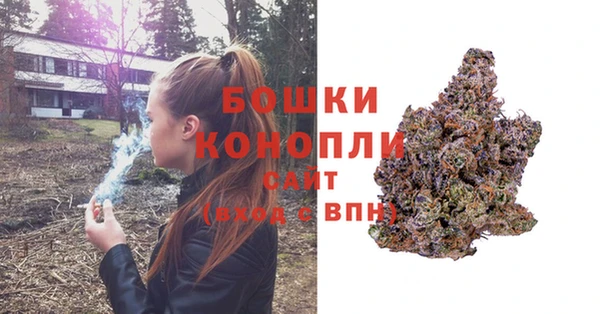 молекула духа Лагань