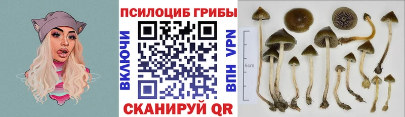 Псилоцибиновые грибы ЛСД Партизанск